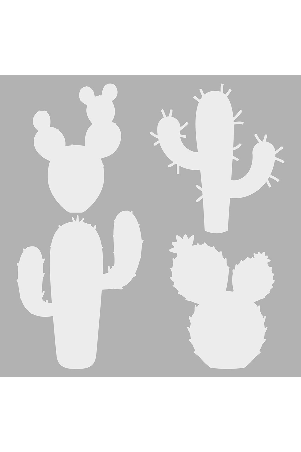 melocactus neomontanus Melocactus Concinnus main image 0