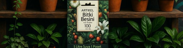 Bitki Besini